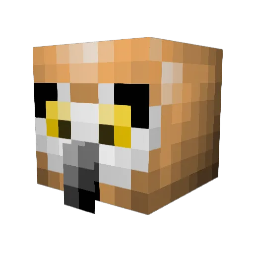 frootloopsnick Minecraft avatar head, 3D render