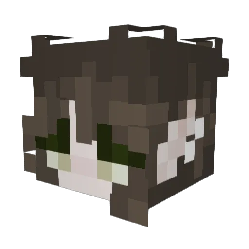 fropvy Minecraft avatar head, 3D render