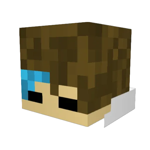 frostY11 Minecraft avatar head, 3D render
