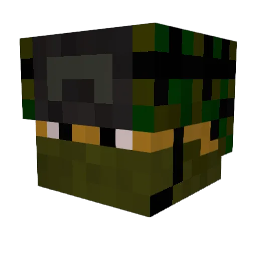 frostee13 Minecraft avatar head, 3D render