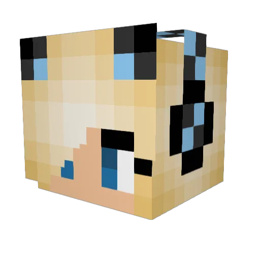 froster789 Minecraft avatar head, 3D render