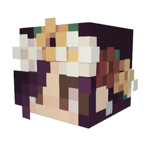 frostmountain13 Minecraft avatar head, 3D render