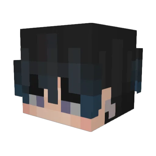 frostpaw10 Minecraft avatar head, 3D render