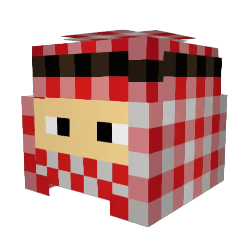 frosty2529 Minecraft avatar head, 3D render