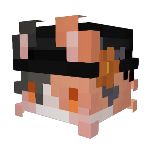 frostyuu Minecraft avatar head, 3D render
