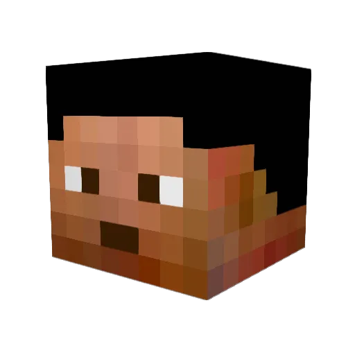 frothy8 Minecraft avatar head, 3D render