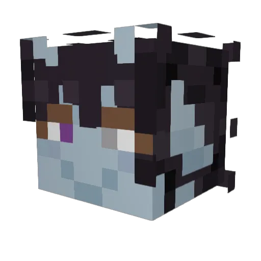 frowlyowl Minecraft avatar head, 3D render