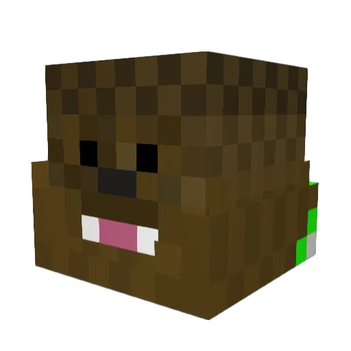 frozensten Minecraft avatar head, 3D render