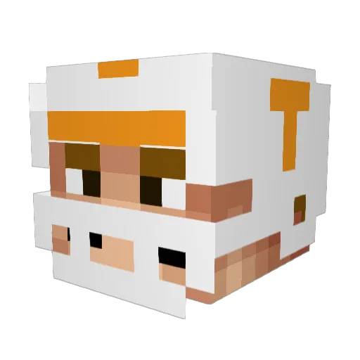 frpspiro Minecraft avatar head, 3D render