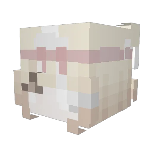 frrnanda Minecraft avatar head, 3D render