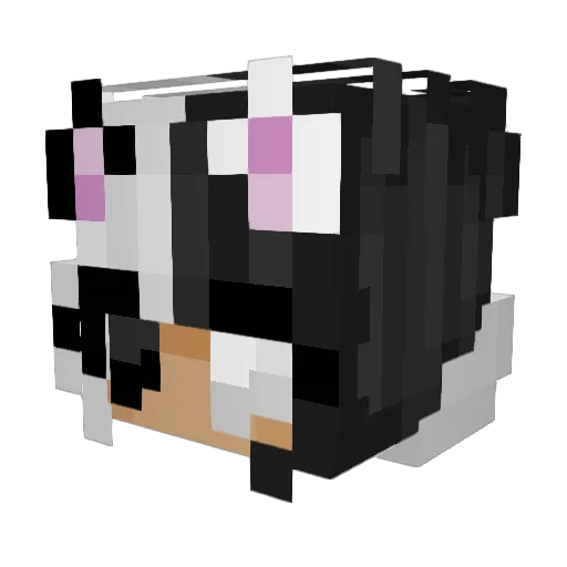 frstyprwlr Minecraft avatar head, 3D render