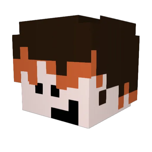 frtrnathaniel Minecraft avatar head, 3D render