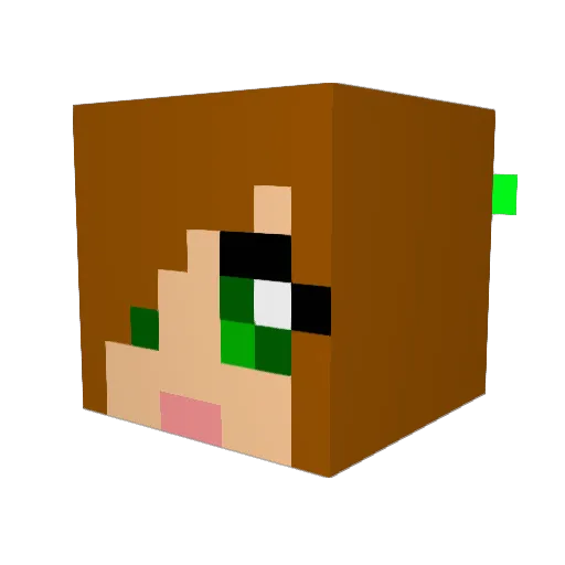 frtwmin Minecraft avatar head, 3D render