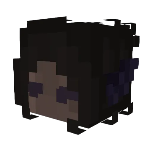fru1tbowl Minecraft avatar head, 3D render