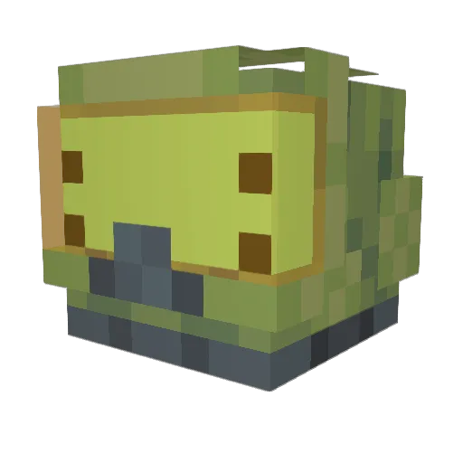 fruitberries Minecraft avatar head, 3D render