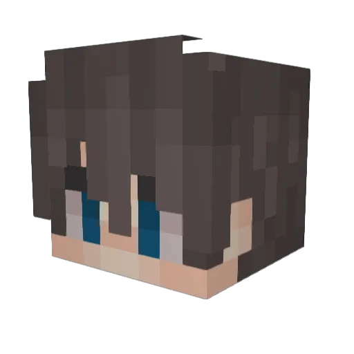 fruitcaesarsalad Minecraft avatar head, 3D render