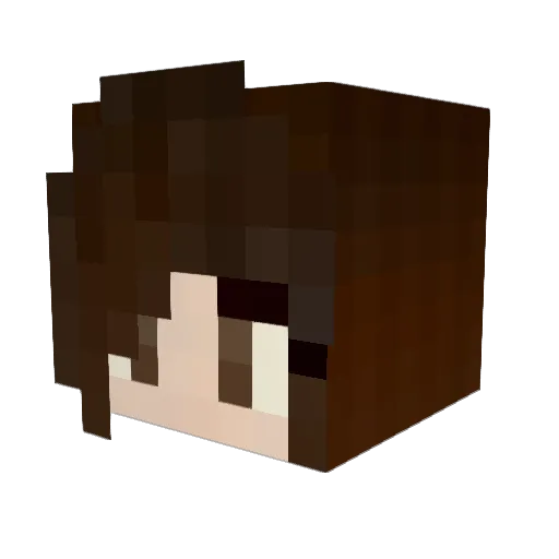 fruitcupgaming Minecraft avatar head, 3D render