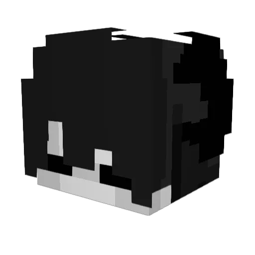 fruitdragonll Minecraft avatar head, 3D render