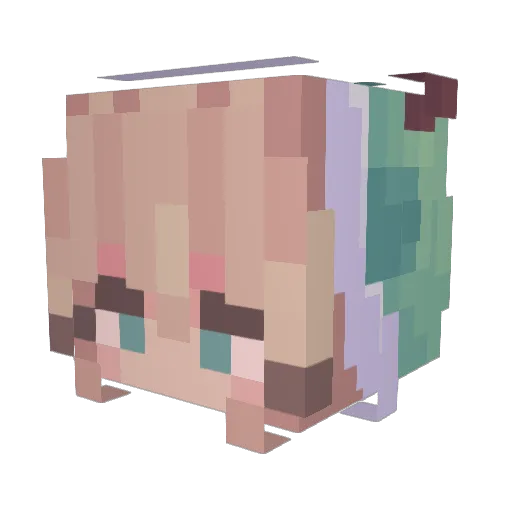 fruitikiwi Minecraft avatar head, 3D render