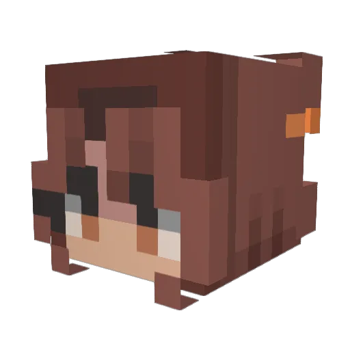 fruitista Minecraft avatar head, 3D render