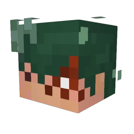 fruitlooptree123 Minecraft avatar head, 3D render