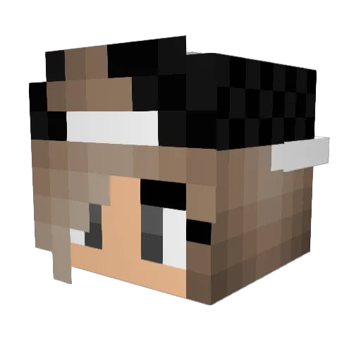 fruitregina Minecraft avatar head, 3D render