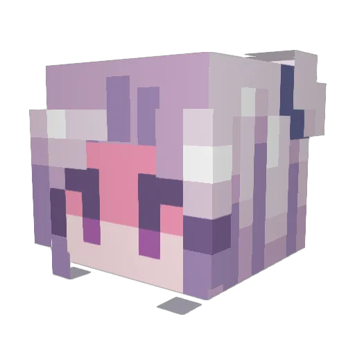 fruitsarmee Minecraft avatar head, 3D render