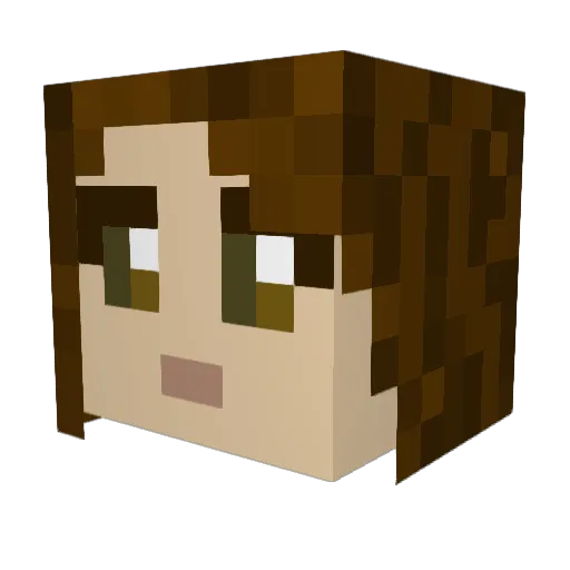 fruitsenthusiast Minecraft avatar head, 3D render