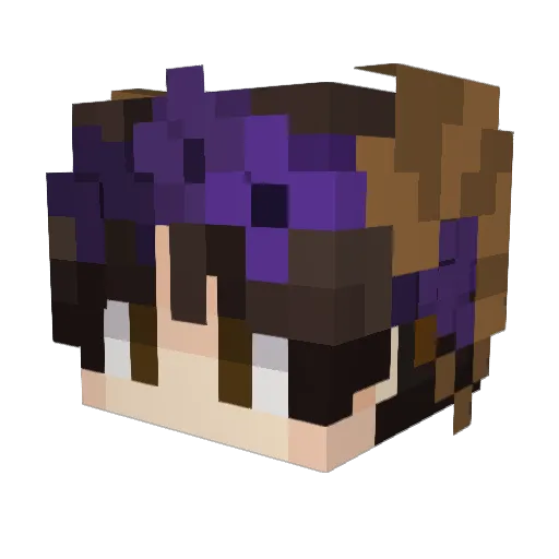 fruity_cake2323 Minecraft avatar head, 3D render