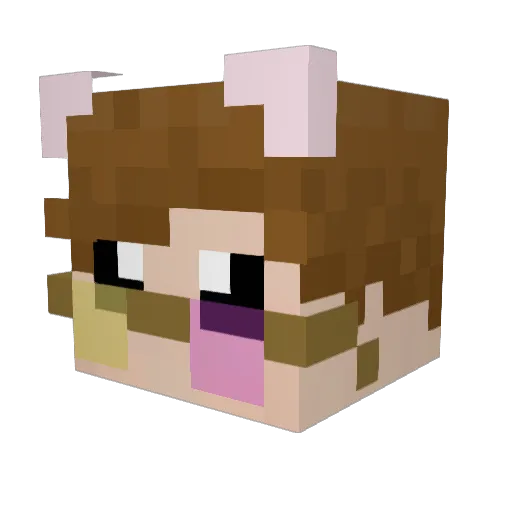 fruitybroom Minecraft avatar head, 3D render