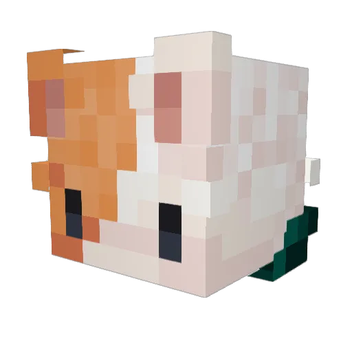 fruitycat33 Minecraft avatar head, 3D render