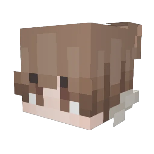 fruitycricket Minecraft avatar head, 3D render