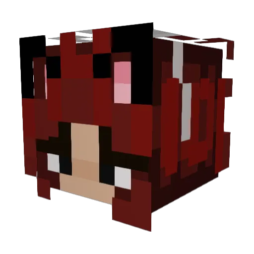 fruitydisaster Minecraft avatar head, 3D render