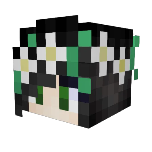 fruktpunch Minecraft avatar head, 3D render