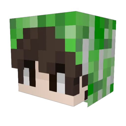 fruttii Minecraft avatar head, 3D render