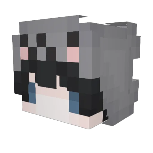 fruwz Minecraft avatar head, 3D render