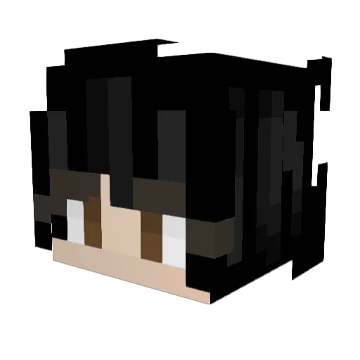 frwd_sp Minecraft avatar head, 3D render