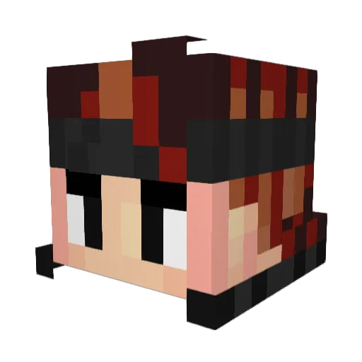 fry123456 Minecraft avatar head, 3D render