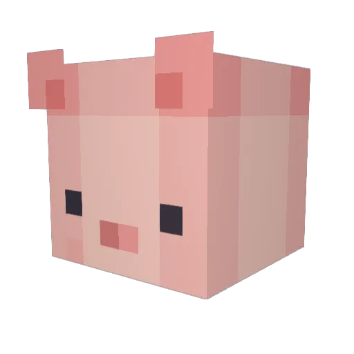 fry_lord Minecraft avatar head, 3D render