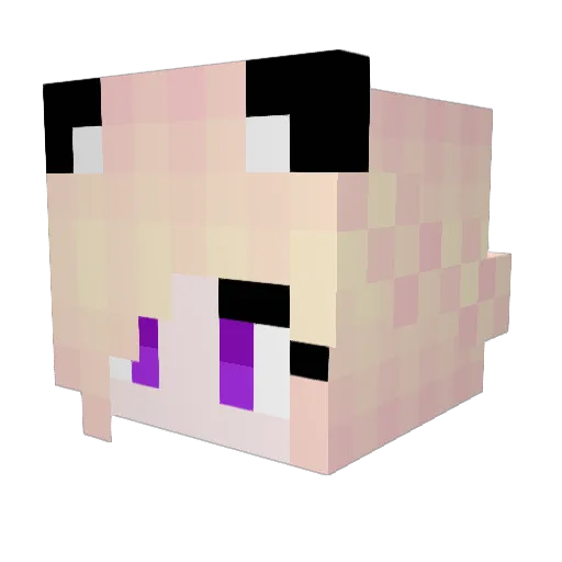 fry_rye Minecraft avatar head, 3D render