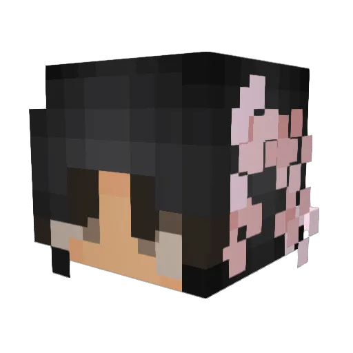 frybri Minecraft avatar head, 3D render