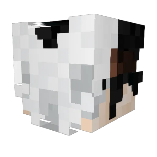 frydragon Minecraft avatar head, 3D render