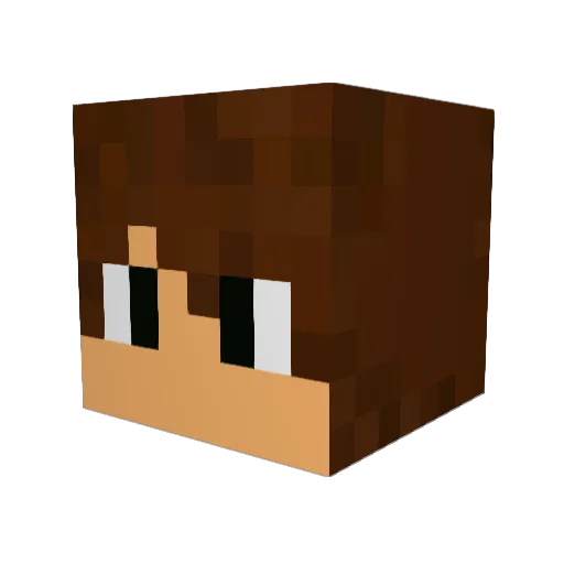 fryingduk Minecraft avatar head, 3D render