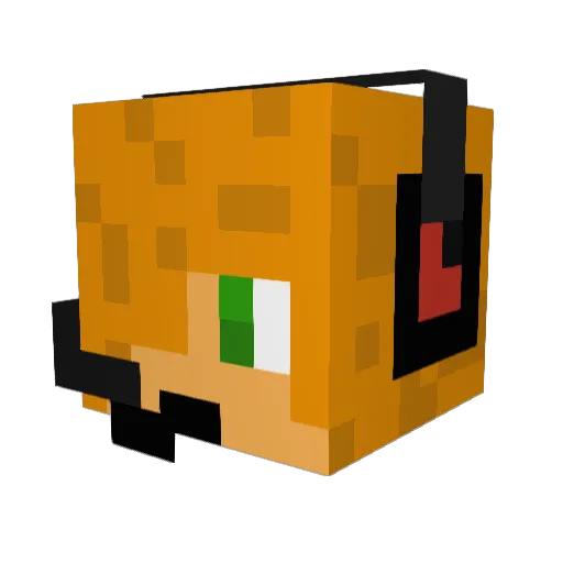 frymat18 Minecraft avatar head, 3D render