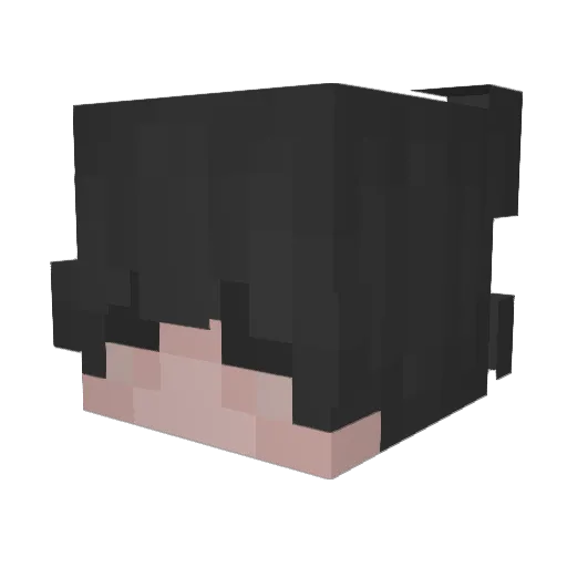 frzing Minecraft avatar head, 3D render