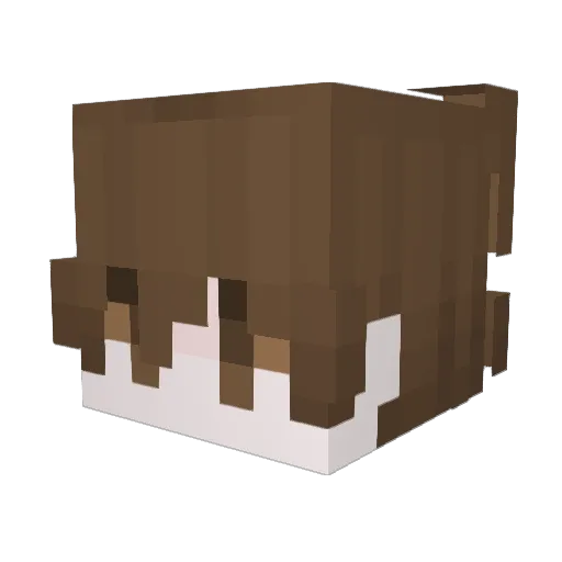 fsNorth Minecraft avatar head, 3D render