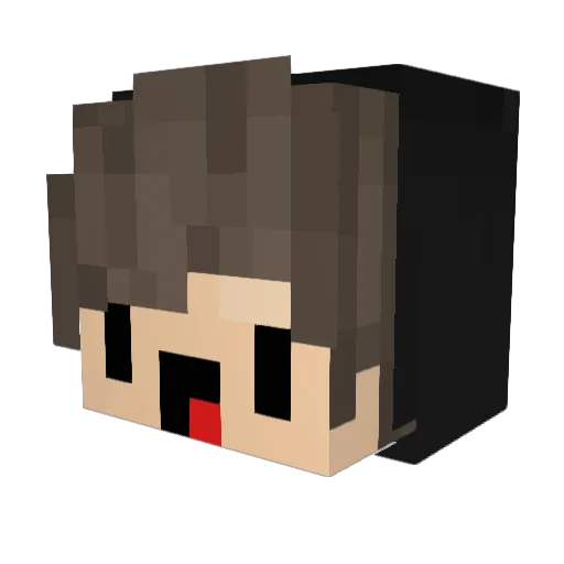 fsafasfasfasfasd Minecraft avatar head, 3D render