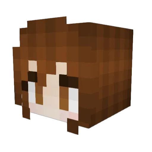 fsasian12 Minecraft avatar head, 3D render