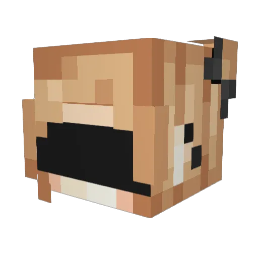fsb75 Minecraft avatar head, 3D render