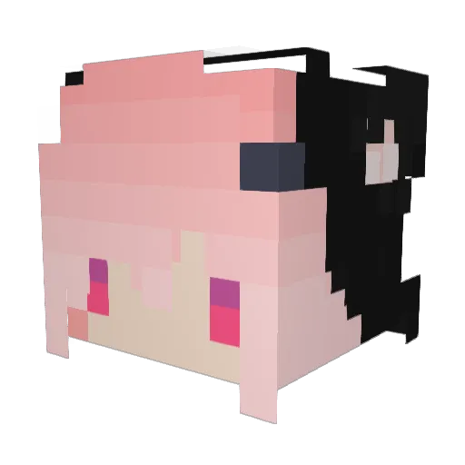 fseigo71 Minecraft avatar head, 3D render